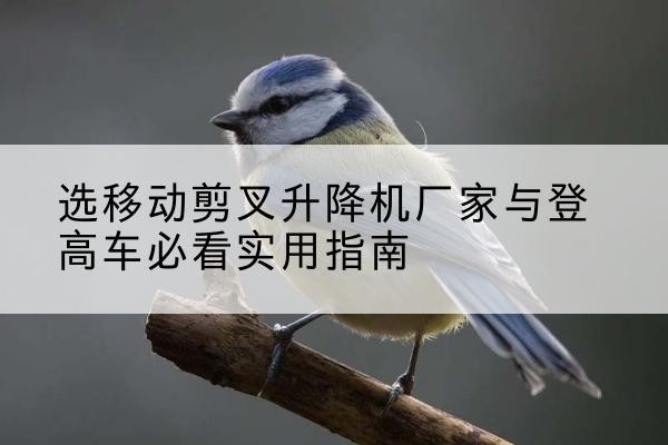 碌曲电动升降机厂家-选移动剪叉升降机厂家与登高车必看实用指南