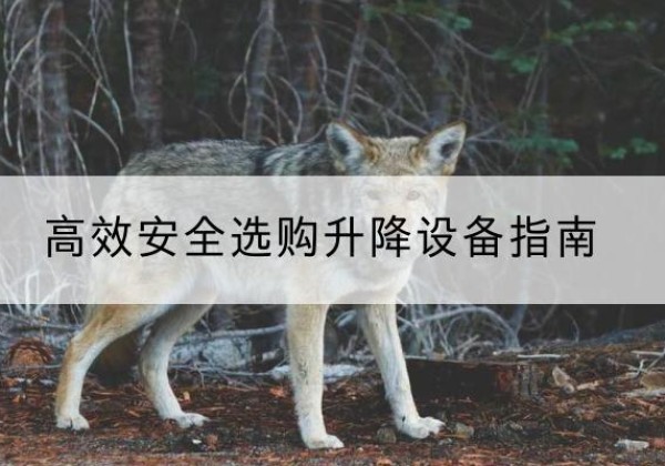 碌曲升降货梯厂家推荐-*安全选购升降设备指南