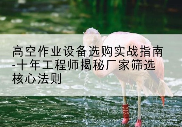 碌曲剪叉式升降机厂家-高空作业设备选购实战指南-十年工程师揭秘厂家筛选核心法则